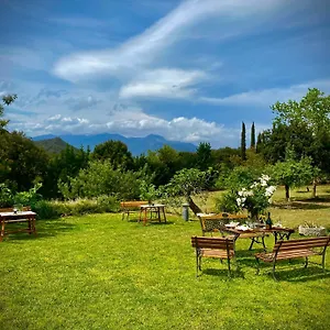  Appartement Masia Mimosa